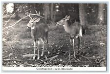 c1940's Greetings From Tower MN, A Pair Of Northwoods Deer RPPC Photo Postcard picture