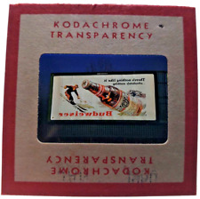 Kodachrome Red Border Slide | *1949* BUDWEISER BEER SKIING Billboard Sign Ad picture