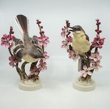 Pair of Royal Worcester Porcelain Dorothy Doughty Mockingbirds picture
