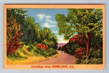 Shirland IL-Illinois, Scenic Greetings, Roadway, Trees Vintage Souvenir Postcard picture