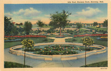 Lily Pool Harman Park Kearney Nebraska Vintage Unposted Linen Postcard picture
