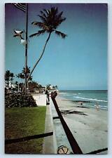 Palm Beach Florida Postcard Basking Florida's Sun Resort Visiting Lounge c1960's picture
