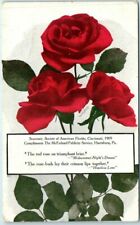 Postcard - Quotation - Red Roses picture