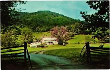 Vintage Postcard- GRAVES' MOUNTAIN LODGE, INC., SYRIA, VA. picture