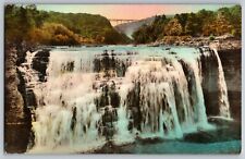 New York NY - Middle Falls at Letchworth State Park - Vintage Postcards picture