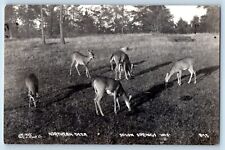 Solon Springs Wisconsin WI Postcard RPPC Photo Northern Deer Scene Field c1940's picture