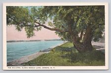Postcard The Willows Along Seneca Lake Geneva New York picture
