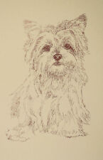 Yorkshire Terrier - Rainbow Bridge Personalized Kline dog art lithograph. #38 picture