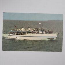 Dolphin 65 Ft Party Fishing Boat Florida Gulf Of Mexico Vintage Chrome Postcard picture