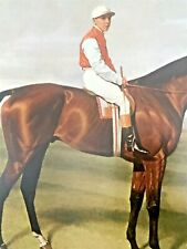 Thoroughbred Equestrian Horse Jockey Print Emil Adam 