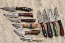 LOT OF 10 PCS HANDMADE DAMASCUS STEEL BLADE MIX SKINNER  HUNTING KNIFE # H-31 picture