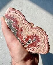 2.6 Pound: Rhodochrosite Banded Scalenohedron Spray from Capillitas, Argentina picture
