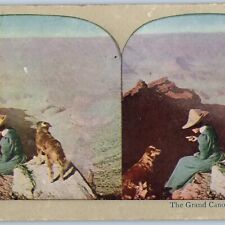 c1900s Grand Canyon, Arizona Lovely Young Lady & Dog Beautiful Stereoview V36 picture