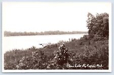 Big Rapids Michigan MI Clear Lake RPPC Real Photo Vintage Postcard picture