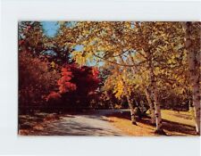 Postcard Country Road Scene picture