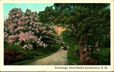 Generic Country Road Greetings From South Lyndeboro New Hampshire NH WB Postcard picture