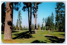 Coeur d'Alene Idaho Postcard Hayden Lake Golf Course Scene c1960 Vintage Antique picture