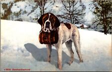 Postcard Bernardinerhund - St. Bernard Dog -Edition Photoglob Zurich Switzerland picture