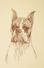 BOXER DOG ART CROPPED  Rainbow Bridge Personalized Kline dog art lithograph. #38 picture