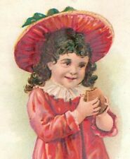 1880s Dougherty's New England Mince Meat Adorable Child P195 picture