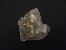 Hudson Valley Complex Quartz Crystal Mineral Specimen picture