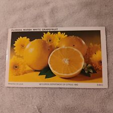 Vintage Postcard Florida Marsh White Grapefruit Unposted Printed USA 3-34-C picture