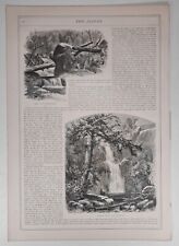 1873 Victorian Art Engraving, Stiles Falls, Adirondacks Natural Curiosities picture