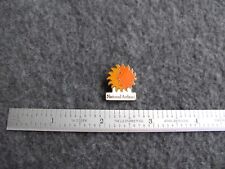 NATIONAL AIRLINES SUN KING LOGO PIN. picture
