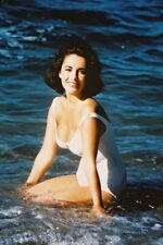 SUDDENLY LAST SUMMER ELIZABETH TAYLOR 24x36 inch Poster picture