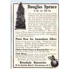 c1920 Harper's Magazine Ad Douglas Spruce Rosedale Nurseries Tarrytown NY EA3-4 picture