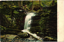 Caldeno Falls Delaware Water Gap Pennsylvania Undivided Unposted Postcard c1905 picture