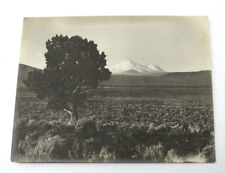 Butte Valley Macdoel California c1910 Historic Silver Gelatin Photo of Mt Shasta picture