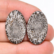 24.00 Cts. Natural Black Fossil Coral Matched Pair 23X14X4 MM Oval Cab Gemstone picture