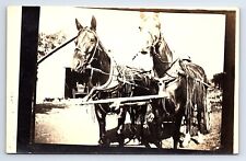 RPPC Two Horses Pulling A Carriage or Buggy Unknown Location Real Photo picture