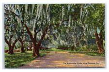 Postcard The Pakenham Oaks, New Orleans LA linen D110 picture
