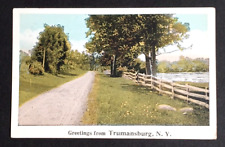 Greetings from Trumansburg Scenic View Dirt Road New York NY Postcard c1920s picture