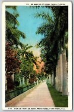 Postcard An Avenue of Royal Palms, Florida Hotel, Fort Myers P120 picture