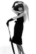 AUDREY HEPBURN STUNNING POSE 24x36 inch Poster 24x36 inch Poster picture