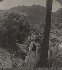 Beautiful Country around Dilwarra Temple India Stereo Travel Stereoview 1908 picture