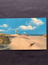 Postcard Sand Dunes  Unposted picture