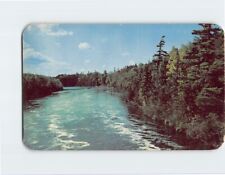 Postcard Picturesque Black River flows close by Pine Camp, New Jersey picture