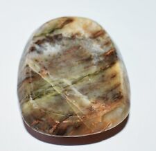 Ocean Jasper Hand Carved Polished Marine Fossil Stone Atlantic Ocean USA 201 CT picture