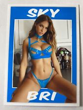 Sky Bri Custom Made Adult Trading Card | Not Bang Bros picture