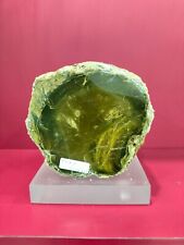 Rare translucent green petrified wood trunk polished 1914gr (10x11x12cm) 447 picture