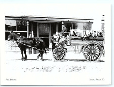 postcard Horse drawn Fire Engine Idaho Falls Idaho 1738 picture