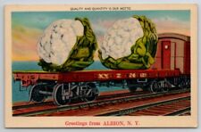 Albion NY Exaggerated Cauliflower Freak Vegetables On Flatcar Train Postcard C34 picture