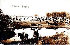 Antique RPPC Real Photo Postcard  1921 Elkhart Kansas Ranch Scene Cattle Horses picture