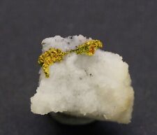 Gold specimen Crystalline Gold  Grass Valley M.D.  Nevada Co. CA picture