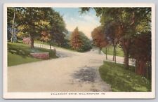 Vallamont Drive Williamsport PA Pennsylvania C1918 Vintage White Border Postcard picture