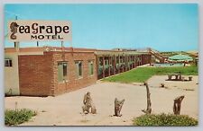 Postcard TX Ad South Padre Island Port Isabel Sea Grape Resort Motel Pool I7 picture